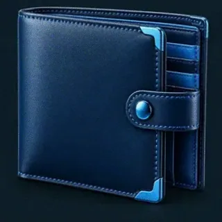 Leather bifold wallet — VegaStars